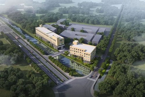 交地即交證 不動(dòng)產(chǎn)登記 首席登記官 助推項(xiàng)目建設(shè)提速增效